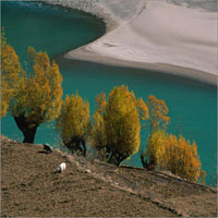 The Yaluzhangbu Grand Canyon