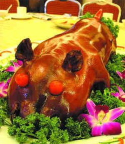 Roasted suckling pig