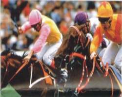 Happy Valley Racecourse