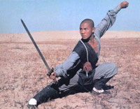 Chinese Kung Fu