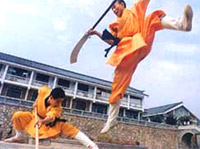 Shaolin Kungfu