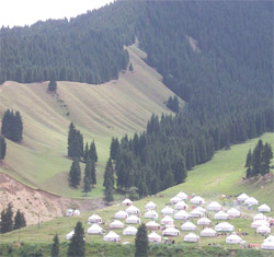 South Pasture