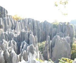 Stone Forest in Kunming