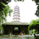 Temple of Six Banyan Trees