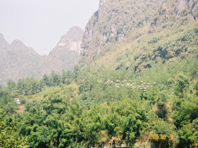 ����ɽˮ���羰ͼƬ�������ں����й���